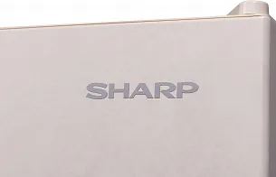 Холодильник-морозильник Sharp SJ-653GHXJ52R