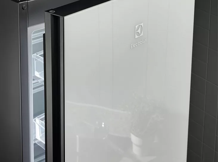 Холодильник-морозильник Electrolux LNT7ME36G2