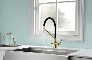 Смеситель для кухни Paulmark SIEGEN G