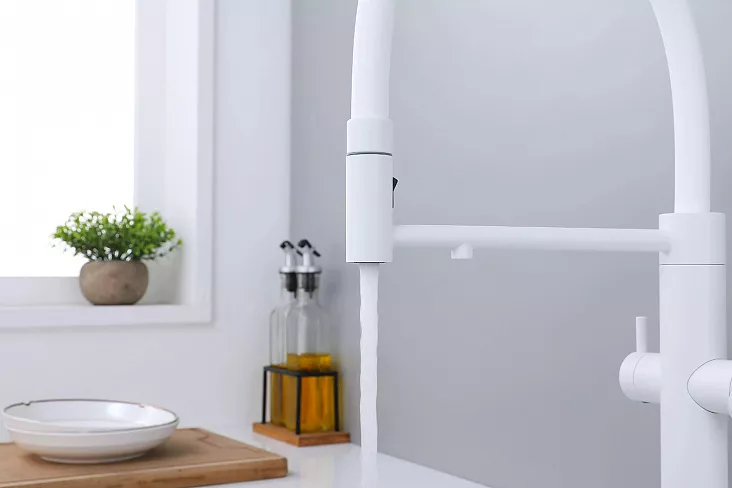 Смеситель для кухни Paulmark NEXUS