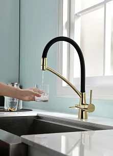 Смеситель для кухни Paulmark SIEGEN G