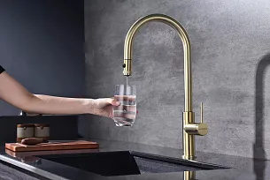 Смеситель для кухни Paulmark GALANT LG
