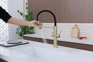 Смеситель для кухни Paulmark NEXUS DIAMOND LG