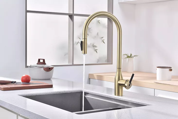 Смеситель для кухни Paulmark UNIVERSAL LG