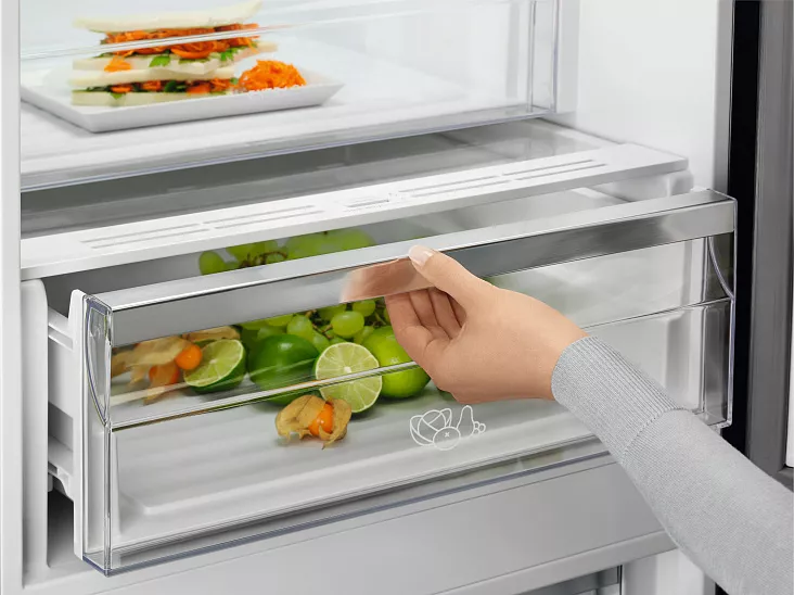 Холодильник-морозильник Electrolux LNT7ME36K2