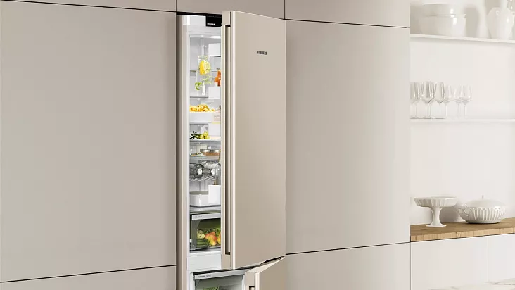 Холодильник-морозильник LIEBHERR CNbed 5703
