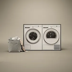 Стиральная машина Asko W1084BW