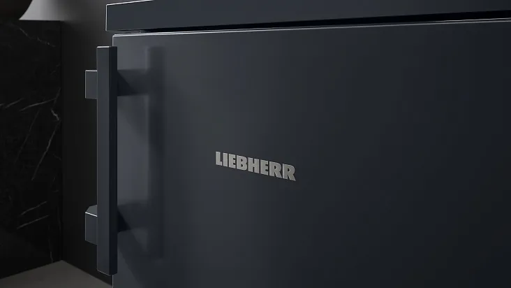 Холодильник-морозильник LIEBHERR Rdgd 1401