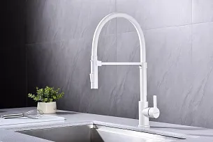 Смеситель для кухни Paulmark HALT WH