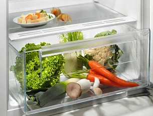 Встраиваемая холодильная камера Electrolux LRB3AE12S