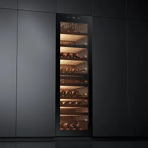Винный шкаф Casarte CASWS170GDAI