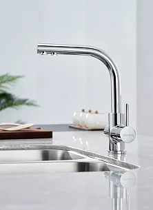 Смеситель для кухни Paulmark ESSEN Es213011 CR