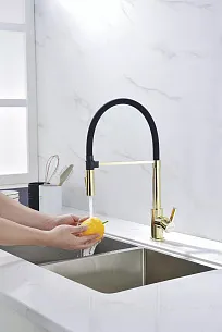 Смеситель для кухни Paulmark HALT G