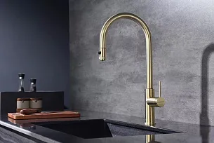 Смеситель для кухни Paulmark GALANT LG