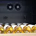 Винный шкаф Meyvel MV116-KBT2